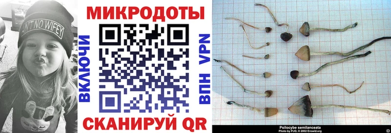 Псилоцибиновые грибы GOLDEN TEACHER  Ялта 