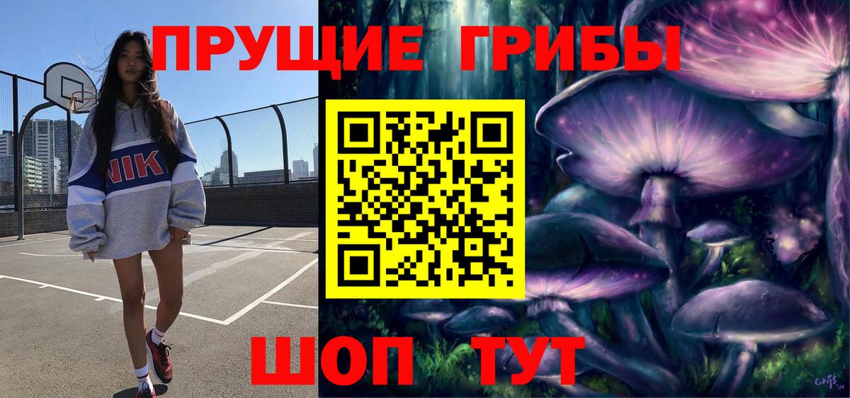 купить наркотик  Вход с VPN  Ялта  Галлюциногенные грибы GOLDEN TEACHER 